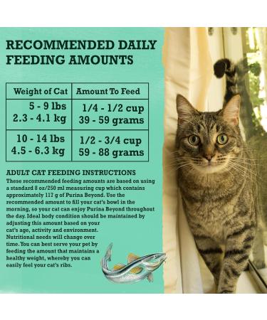 Beyond Grain Free Natural Dry Cat Food Wild-Caught Whitefish & Free Run Egg - 5 kg Bag 5 kg (Pack of 1) - Buy Online on GoSupps.com