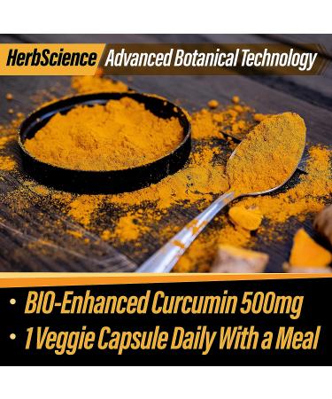 Herb Science Bio-Sorb Turmeric Bio-Enhanced Curcumin: Cardiovascular & Joint Support Supplement - 30 Servings - Buy Online on GoSupps.com