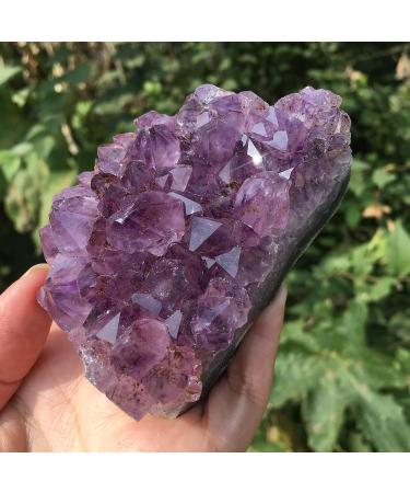 Room Decoration Natural Raw Amethyst Quartz Purple Crystal Cluster Stones Specimen Great Choice for Home Decoration (Size : 120-150g) - Buy Online on GoSupps.com