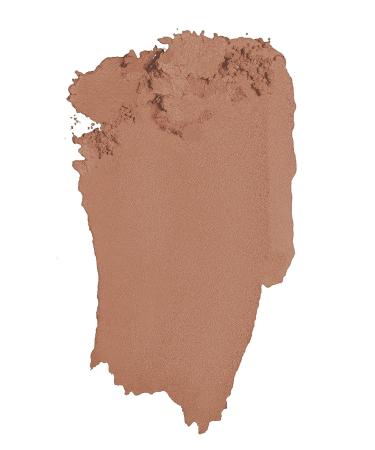 L'Oreal Paris Color Riche Monos Eyeshadow Matte It Up 0.12 Ounce - Pack of 1 - Buy Online on GoSupps.com