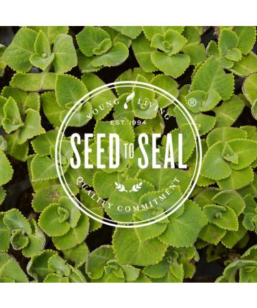 FemiGen Capsules - 60 ct | Young Living Essential Oils - Buy Online on GoSupps.com