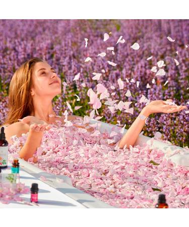 Essences Bulgaria Bio Real Bulgarian Rose Oil 3ml | 100% Natural & Vegan | Undiluted Rosa Damascena | Bio-Certified | Top Quality Family Business - Buy Online on GoSupps.com