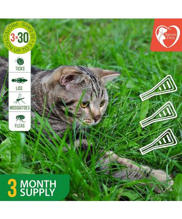 Flea and Tick Prevention for Dogs, Cats, and Rabbits - Natural Treatment - Topical Repellent - 3 Drops for Small Pets - Buy Online on GoSupps.com