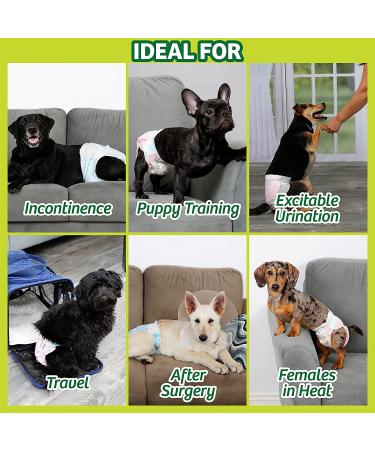 Hartz Disposable Dog Diapers - Adjustable Tail Hole, Leak Proof Protection | Multiple Sizes S - 36 Diapers - Buy Online on GoSupps.com