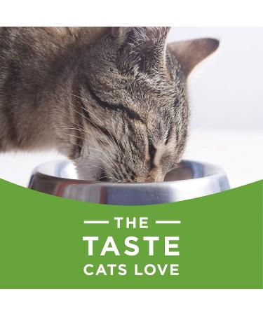 Cat Chow Indoor Dry Cat Food Real Chicken - 3.2 kg Bag 3.2 kg (Pack of 1) Pet Food - Buy Online on GoSupps.com