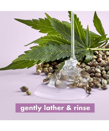 Love Beauty and Planet Hemp Seed Oil & Nana Leaf Shampoo - 13.5 oz (Sulfate-free, Silicone-free, Cruelty-free, Vegan) - Buy Online on GoSupps.com