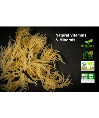 Premium Irish Moss Superfood 2-Pack (2 x 3 Oz) | From Wildcrafted Seed Stock | Non GMO | Organic | Vegan | Hand Picked | Sun Dried | Makes Perfect Gel | Boost Your Immune System | Makes 4 Quarts 6.0 ounces - Buy Online on GoSupps.com