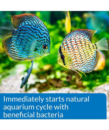 API Quick Start Nitrifying Bacteria â€“ Freshwater & Saltwater Aquarium Starter - Buy Online on GoSupps.com