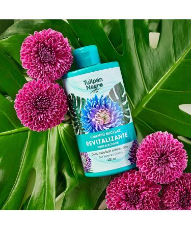TULIPAN NEGRO Micellar Shampoo - Revitalizing & Strengthening with Serenoa & Ginseng | 13.50 Fl Oz - Best International Shipping - Buy Online on GoSupps.com