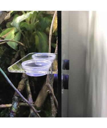 geckoshop.co.uk Magnetic Reptile Feeding Ledge (Small Clear) Small Clear - Buy Online on GoSupps.com