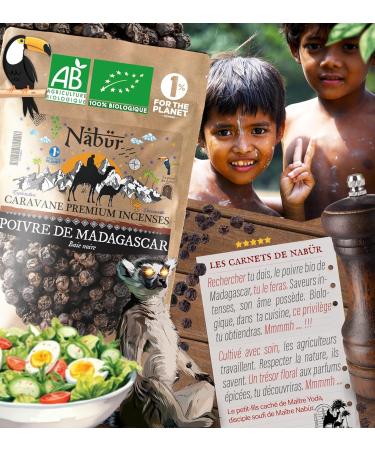 500gr Poivre Noir BIO de Madagascar Haute Qualit Prima+ Poivre en grain Note Florale Bois Fruit de Nab r - Buy Online on GoSupps.com