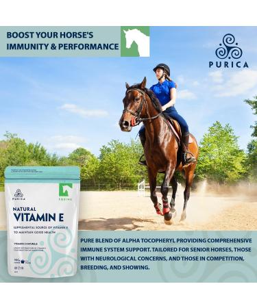 PURICA - Equine Vitamin E Powder 900g - Vit E D-Alpha Tocopheryl Supplement - Horse Supplement - Horse Health Supplements - Equine Health Supplement - Equine Supplements - Horse Good Health Supplement - Buy Online on GoSupps.com