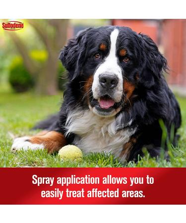 Sulfodene Hot Spot & Itch Relief Dog Spray 8 oz - Soothes Irritated Skin - Buy Online on GoSupps.com