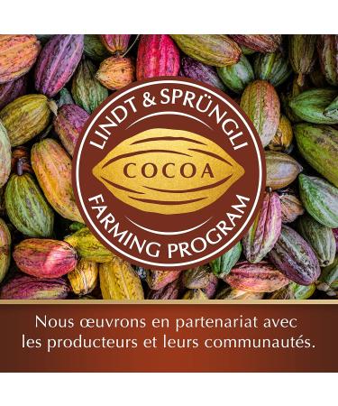 Lindt - 70% Cocoa DESSERT - Dark Chocolate for Baking - 2x200g - Buy Online on GoSupps.com