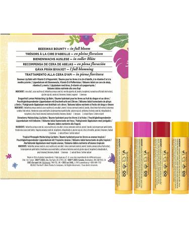 Burt's Bees In Full Bloom Lip Balm Set - 4 Pack: Original Beeswax, Dragonfruit Lemon, Tropical Pineapple & Strawberry - Buy Online on GoSupps.com