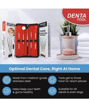 6pc Stainless Steel Dental Tools Kit: Plaque & Tartar Remover Set with Mirror Picks - Teeth Cleaning & Polishing Set - Buy Online on GoSupps.com