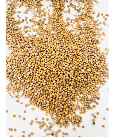 850 grams of white mustard seeds: Certified Carla - Agricultural quality - Packaged in France - Buy Online on GoSupps.com