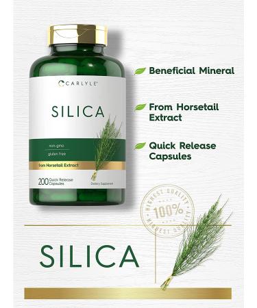 Silica Supplement Capsules - 200 Count Horsetail Extract, Non-GMO & Gluten Free by Carlyle - Buy Online on GoSupps.com