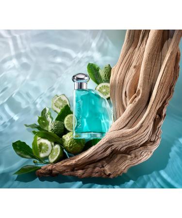 Nautica Voyage By Nautica For Men. Eau De Toilette Spray 3.4 Fl Oz and Nautica Classic for Men by Nautica 3.4 oz 100ml EDT Spray - Buy Online on GoSupps.com