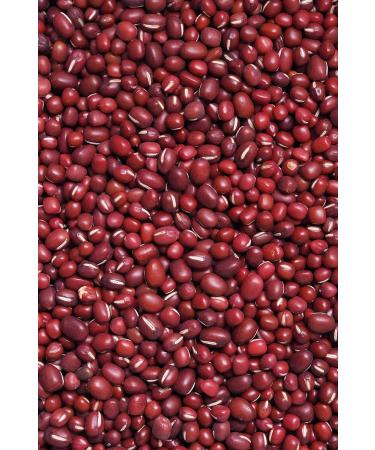 Camelur 500g Organic Azuki Beans - Dried Adzuki Beans Without Additives in Biodegradable Packaging - Buy Organic Beans Online - Buy Online on GoSupps.com