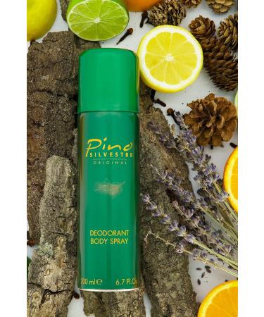 Pino Silvestre Deodorant Body Spray for Men - Long Lasting Sandalwood & Musk Fragrance - 6.7 Oz Cologne - International Shipping Available - Buy Online on GoSupps.com