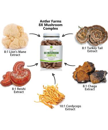Antler Farms 100% Pure 8X Mushroom Complex - Organic Five Mushroom Blend - Lion's Mane, Reishi, Cordyceps, Chaga, Turkey Tail - Fruiting Bodies Only - Buy Online on GoSupps.com