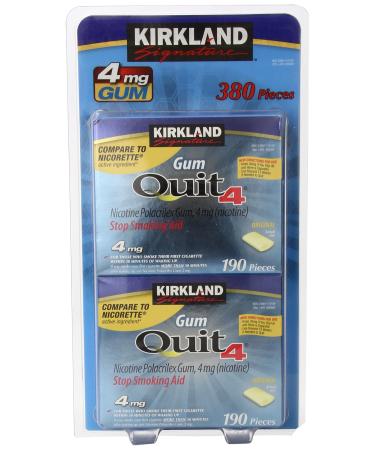 Kirkland Signature Quit Smoking Nicotine Gum, 4 mg (380 Pieces)