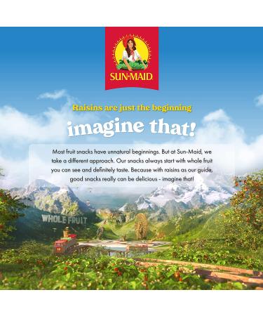 Sun-Maid Chocolate Yogurt Covered Raisin Snacks 1oz Pack of 6 - Kid-Friendly Snack Size - Buy Online on GoSupps.com