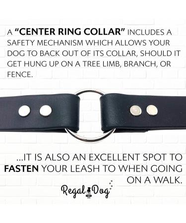 Regal Dog Halison Biothane Waterproof Dog Collar & Leash Set - Black for Small Medium & Large Dogs - Durable & Stylish D-Ring Design - Buy Online on GoSupps.com