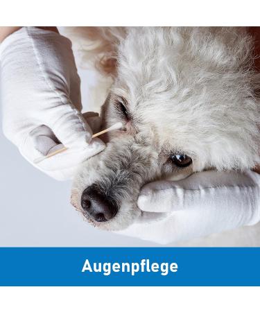 Kosmetex 100x Ear Cleaning Cotton Swabs for Dogs & Cats - 7.5 cm Eye & Ear Cleaner for Pets - Buy Online on GoSupps.com