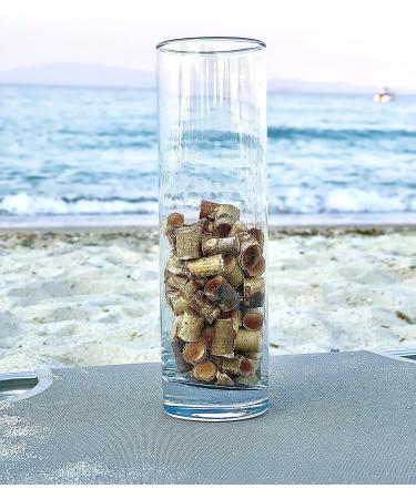 150g Mini Wood Logs Pack - Birch Craft Sticks Vase Filler for Rustic Home Decor - Buy Online on GoSupps.com