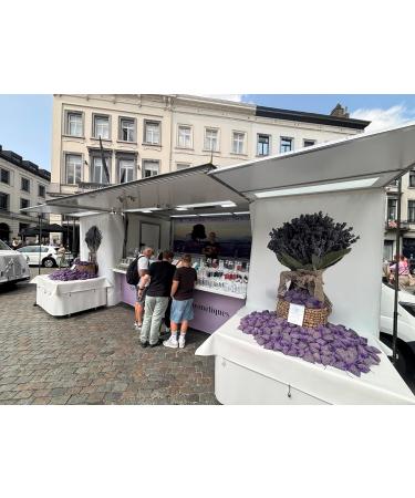  LE V RITABLE Le V ritable - Artisanal Scented Soap Luxury Bubbles Pack of 10 x 125g Scents: Argan Olive Aloe Vera Vanilla - Ylang-Ylang Sensitive Skin Organic and Natural Face & Hands Made in France - Buy Online on GoSupps.com