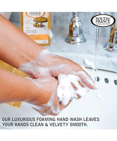 Glazed Apricots Foaming Hand Wash | Organic Agave Nectar | 8 oz Pump | South of France - Buy Online on GoSupps.com