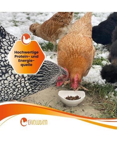 Eigenbilflarl Dried Larvae 800G | High-Protein Chicken Food | Ideal for Birds Fish & Quails | Premium Quality - Buy Online on GoSupps.com