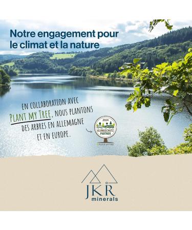 JKR Spices Sel de Glauber 200g | Sel de glauque de qualit alimentaire | Sulfate de sodium food grade | Na2SO4 en sachet refermable neutre en CO 200 g (Lot de 1) - Buy Online on GoSupps.com