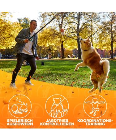 Tierhood Angloel for Dogs - Beginner E-Book & Training Toys for Fun & Control - Perfect for Angel Dogs (L) - International Shipping Available - Buy Online on GoSupps.com