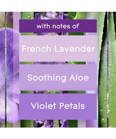 Glade PlugIns Air Freshener Kit Scented and Essential Oils for Bathroom and Home Fragrance Tranquil Lavender and Aloe 2 Warmers and 6 Fragrance Oil Refills Lavender & Aloe 118.89 ml (Pack of 1) - Buy Online on GoSupps.com