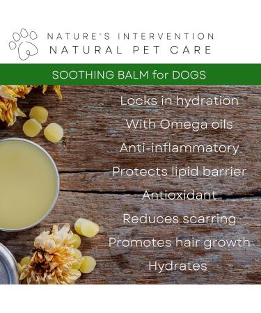 NATURE'S INTERVENTION 100% Natural SOOTHING BALM Dogs - Calendula & Lavender - 50 g by NIP. Moisturizes Soothes Relieves Itching. Beneficial for Dry and Sensitive Skin. - Buy Online on GoSupps.com