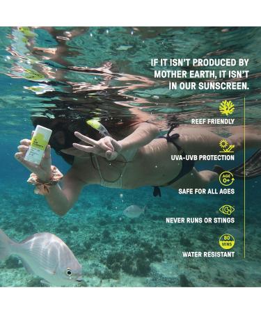 Raw Elements Face Stick SPF 50 - All-Natural Mineral Sunscreen Reef Safe Travel Size Broad Spectrum Protection for All Ages - Buy Online on GoSupps.com