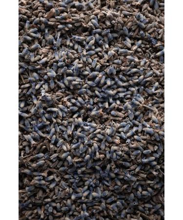  Biojoy Biojoy Organic Dried Lavender Flowers (250g) whole for Infusion or Herbal Tea - Buy Online on GoSupps.com