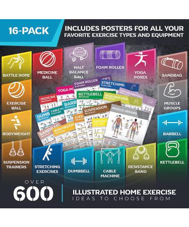16-Pack Large Workout Poster Set - Dumbbell, Yoga, Resistance Band, Kettlebell & Stretching Exercise Charts for Home Gym - Buy Online on GoSupps.com