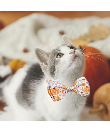 Fall Bow Tie Pumpkin Cat Collar Set with Bell | Autumn Thanksgiving Harvest Holiday Collar for Cats | Pumpkin Patch Design for Boys and Girls - Buy Online on GoSupps.com