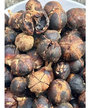 GoronTula Fruits Azanza garckeana Snot Apple Fruits Silky Kola Fresh Fully Ripened Juicy Fruit Varied Sizes (250g) - Buy Online on GoSupps.com