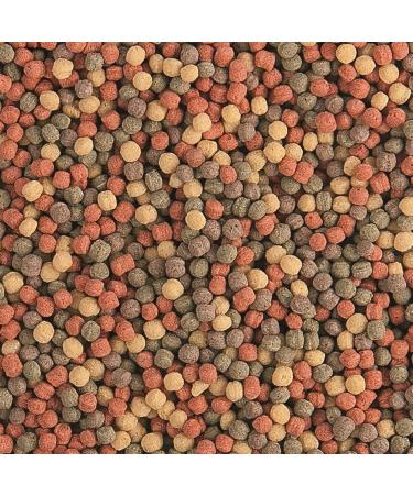 Tropical Pond Pellet Mix - Medium - 650 g - Buy Online on GoSupps.com