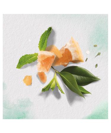 Herbal Essences Pure Grapefruit White Volume Conditioner - 200ml (3 Pack) | Nourish & Boost Hair Volume - Buy Online on GoSupps.com