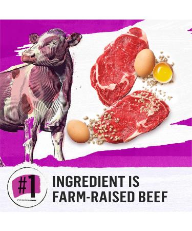 Beyond Simply Natural Dry Dog Food Farm-Raised Beef Barley & Free Run Egg - 5 kg Bag 5 kg (Pack of 1) - Buy Online on GoSupps.com