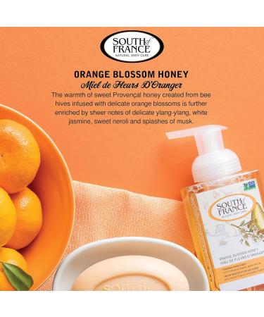 South of France Foaming Hand Soap 8oz - Orange Blossom Honey 3-Pack - Buy Online on GoSupps.com