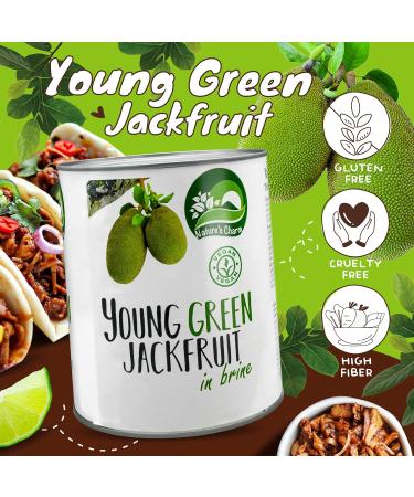 Buy Natures Charm Young Green Jackfruit in Lake - Salzig Pickled Vegan Delicacy | Perfect for Salads Curries & Soups - 2900g - Buy Online on GoSupps.com