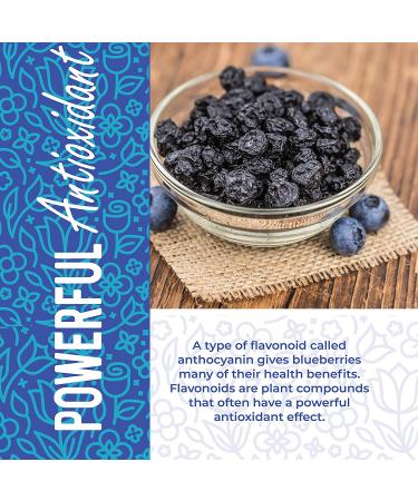 Bulk Dried Blueberries - Unsweetened, Non-GMO, 1 lb - Whole Dry Blue Berries - Dehydrated & All Natural - Buy Online on GoSupps.com