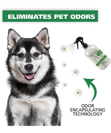 WAHL Scent-Free Pet Odor Neutralizer Spray - 8 oz (Model 820012) | For Dogs Skin and Coat - Buy Online on GoSupps.com